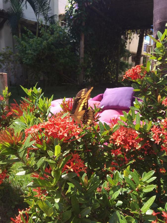 Chale Carpe Diem - Pipa Beleza Praia de Pipa Dış mekan fotoğraf